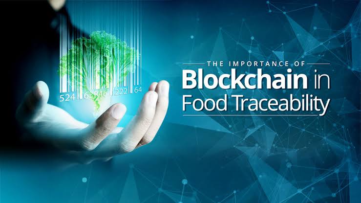 Blockchain Technology in Food Traceability